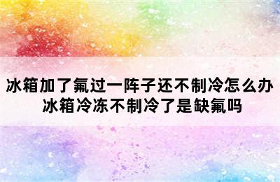 冰箱加了氟过一阵子还不制冷怎么办 冰箱冷冻不制冷了是缺氟吗